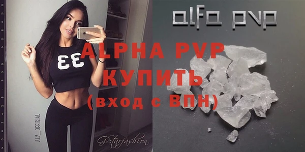 спиды Бородино
