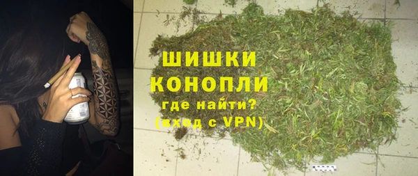 тгк Бронницы
