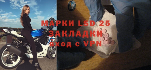 спиды Бородино