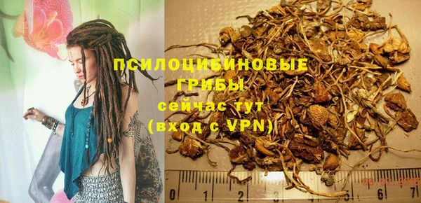 ECSTASY Приозерск