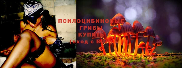 спиды Бородино
