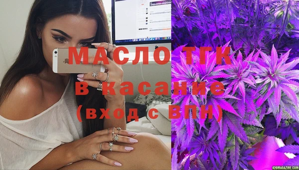 спиды Бородино