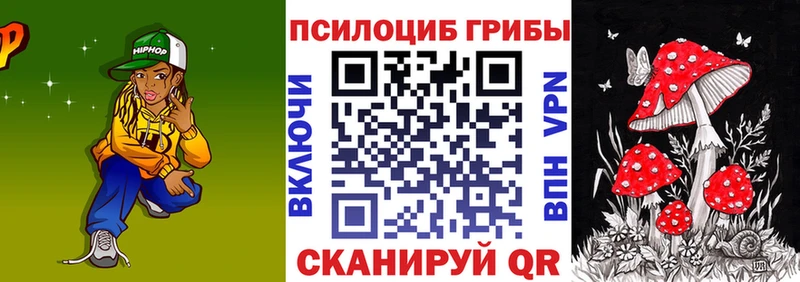 Галлюциногенные грибы Psilocybe  дарнет шоп  Можайск 